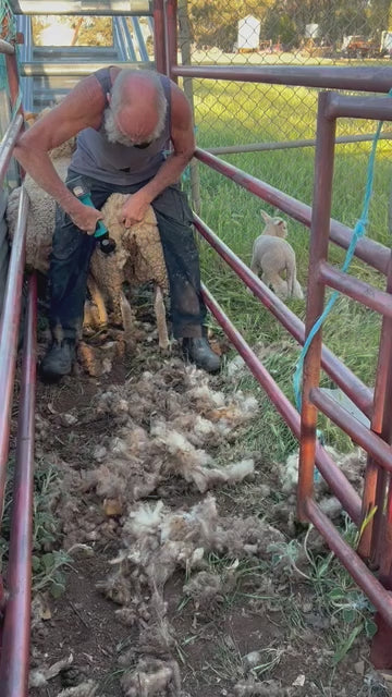 Cisaille à laine électrique sans fil de qualité supérieure à 6 vitesses et 9 dents pour animaux de compagnie – Parfaite pour la tonte des chèvres, des chevaux et des moutons – Compatible avec la batterie Makita 18 V