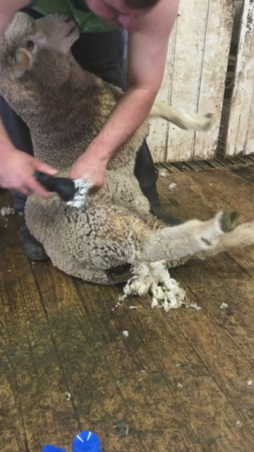 Cisaille à laine électrique sans fil de qualité supérieure à 6 vitesses et 9 dents pour animaux de compagnie – Parfaite pour la tonte des chèvres, des chevaux et des moutons – Compatible avec la batterie Makita 18 V