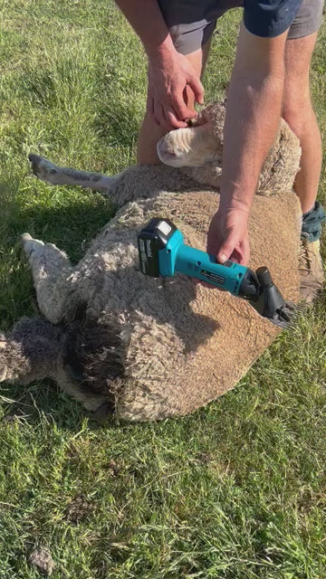 Cisaille à laine électrique sans fil de qualité supérieure à 6 vitesses et 9 dents pour animaux de compagnie – Parfaite pour la tonte des chèvres, des chevaux et des moutons – Compatible avec la batterie Makita 18 V
