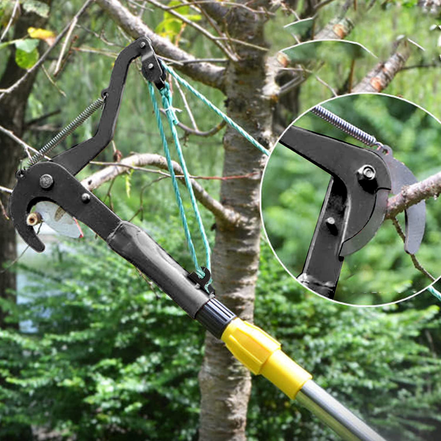 Outil professionnel d'élagage de branche d'arbre