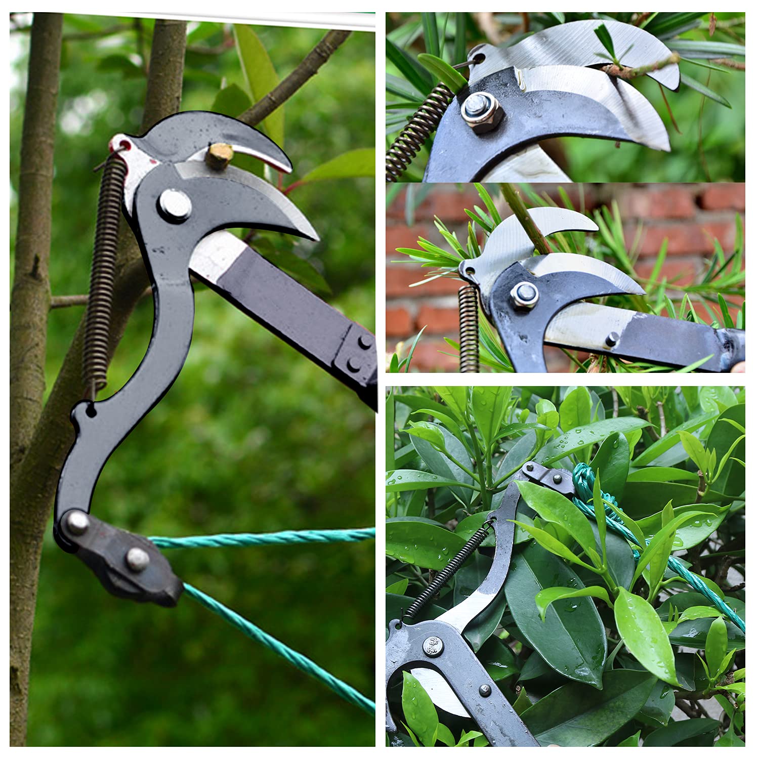 Outil professionnel d'élagage de branche d'arbre