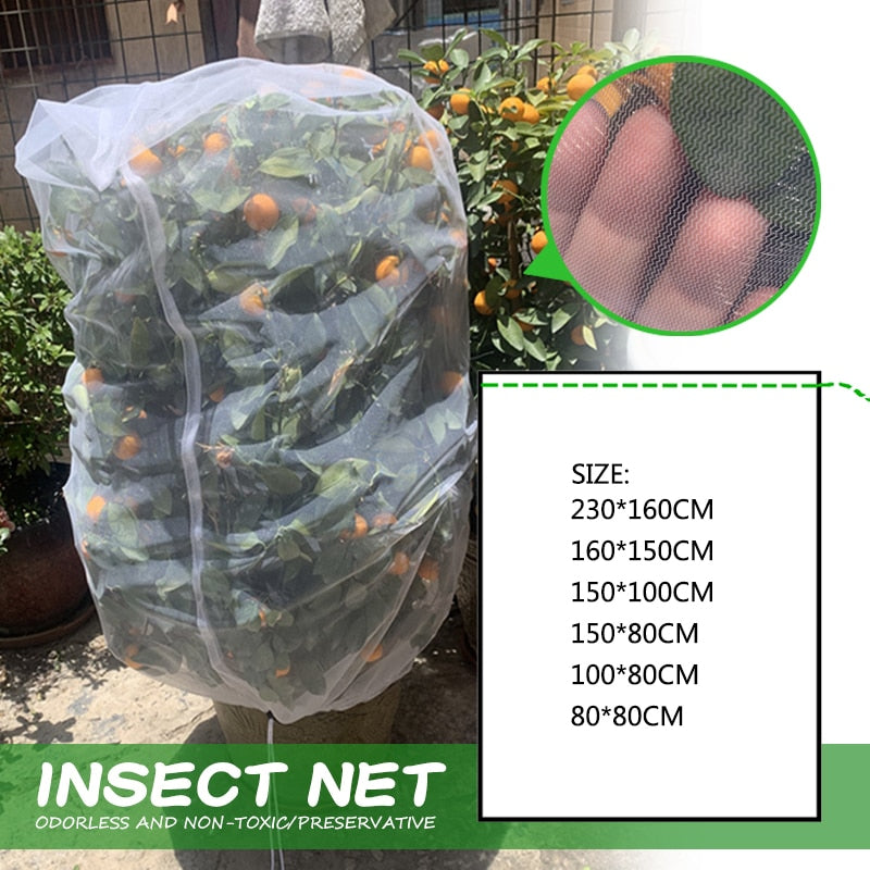 Fruit Fly Individual Tree Net
