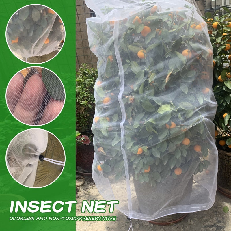 Fruit Fly Individual Tree Net