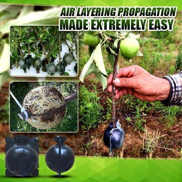 Boule d'enracinement des plantes