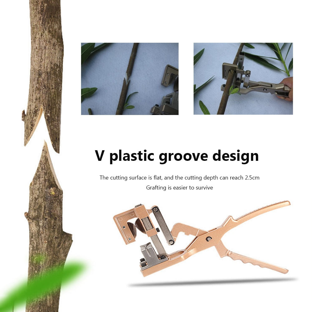 Coupe-outils de jardin de pépinière