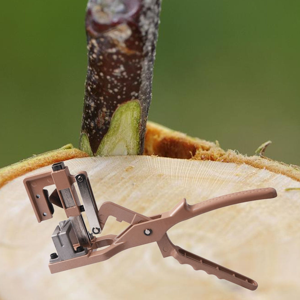 Coupe-outils de jardin de pépinière