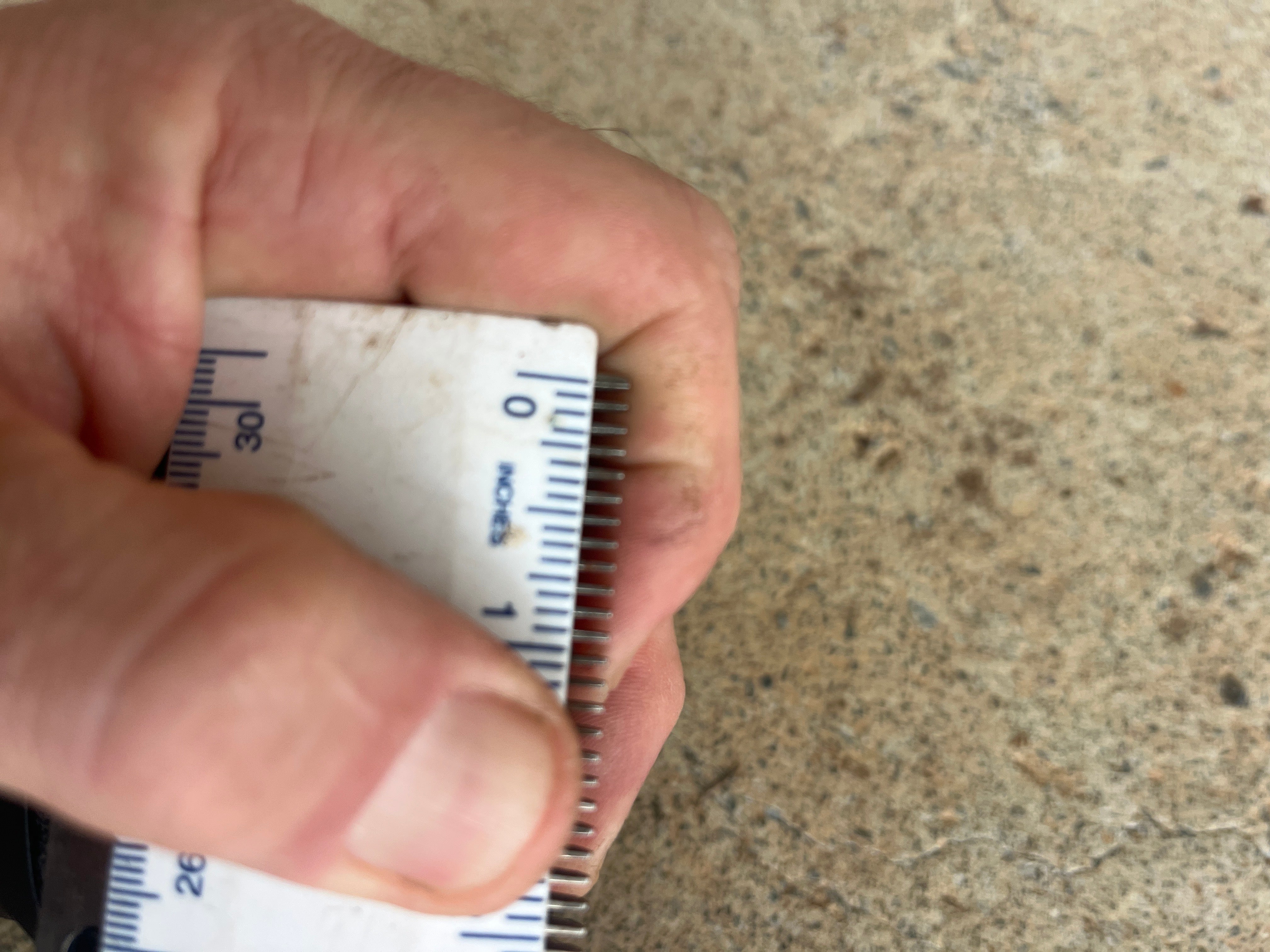 Makita Horse Clipper Blades