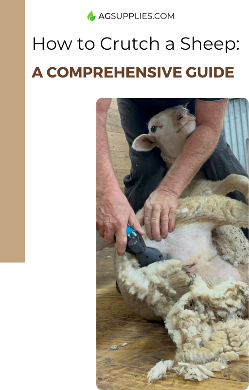 How to Crutch a Sheep: A Comprehensive Guide