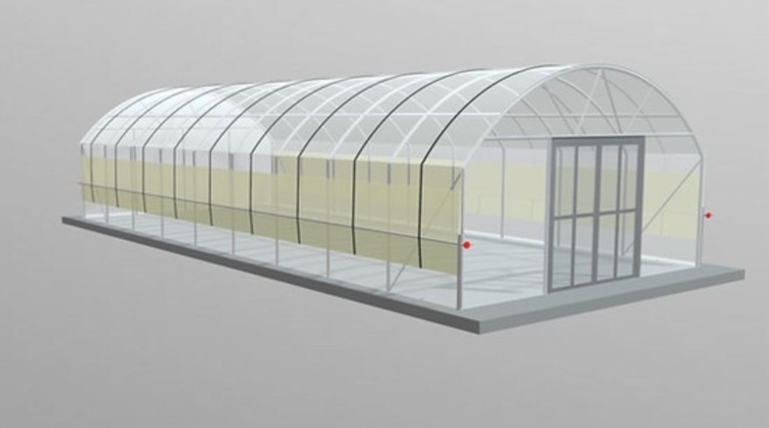 Polytunnel (5m x 12m de long) - Résistant au vent 