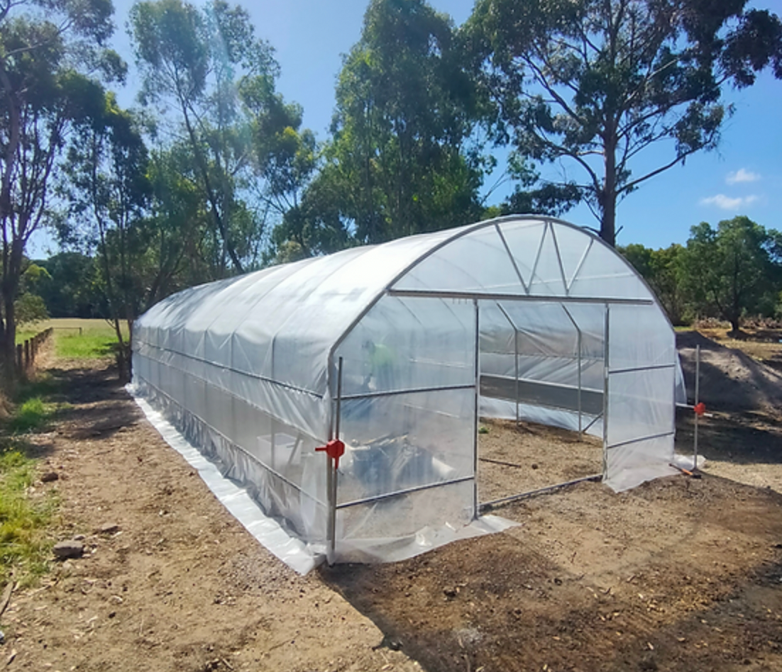 Polytunnel (5m x 12m de longitud) - Resistente al viento 