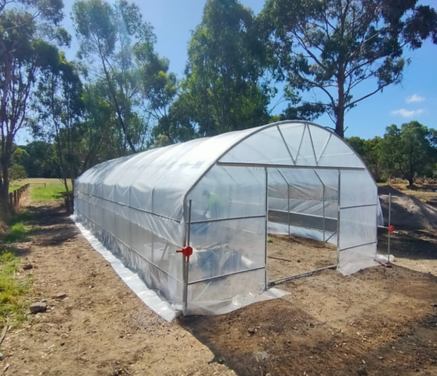 Polytunnel (5m x 12m length) - Wind Resistant