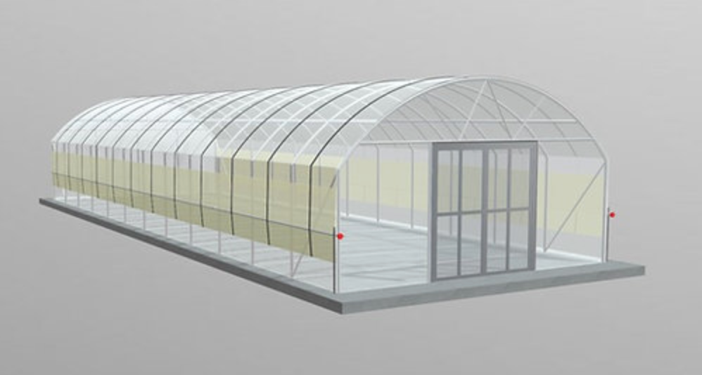 Polytunnel (5m x 16m de long) - Résistant au vent