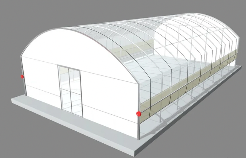 Polytunnel (longueur 6m x12.25m)