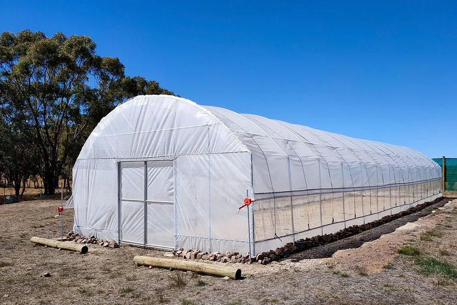 Polytunnel (6m x23.75m)