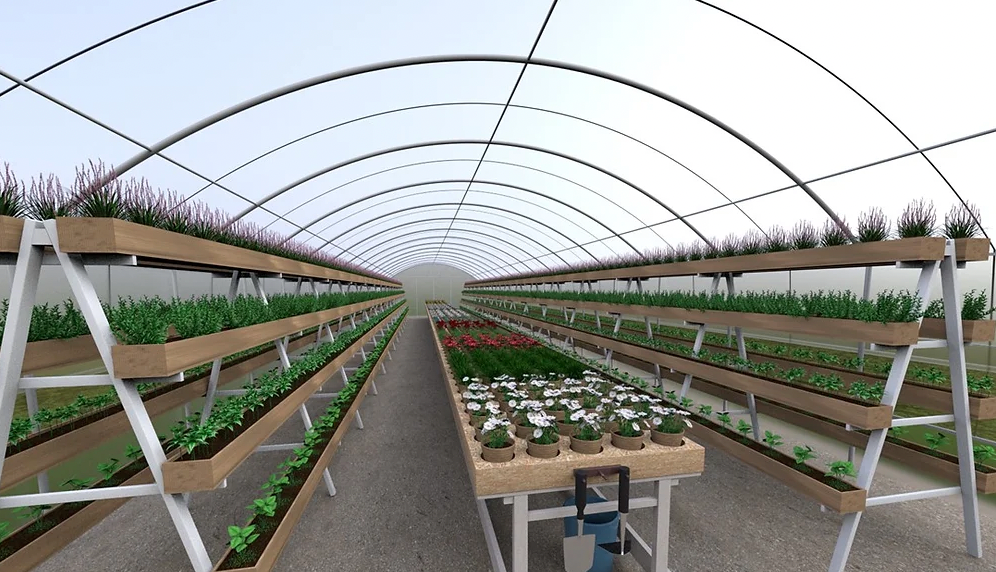 Polytunnel (6m x35.25m)