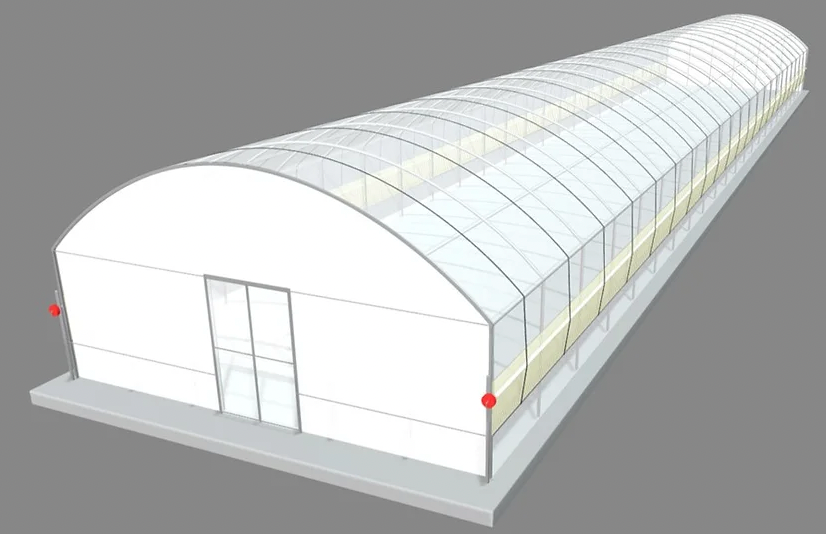 Polytunnel (6m x35.25m)