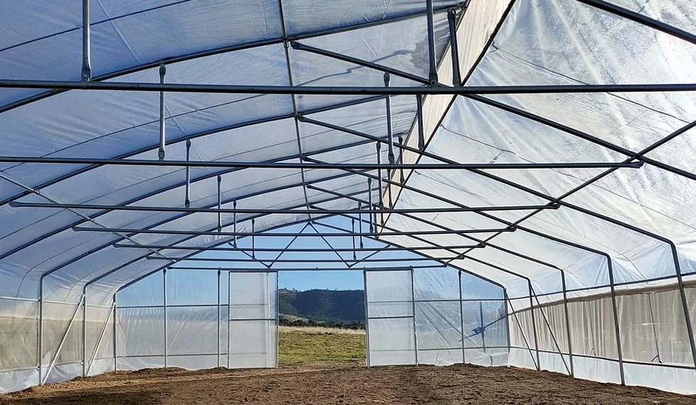 Z PolyTunnel (8m x12.25m)