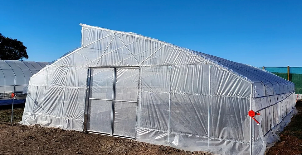 Z PolyTunnel (8m x12.25m)