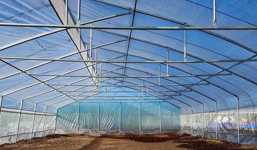 Z PolyTunnel (8m x12.25m)