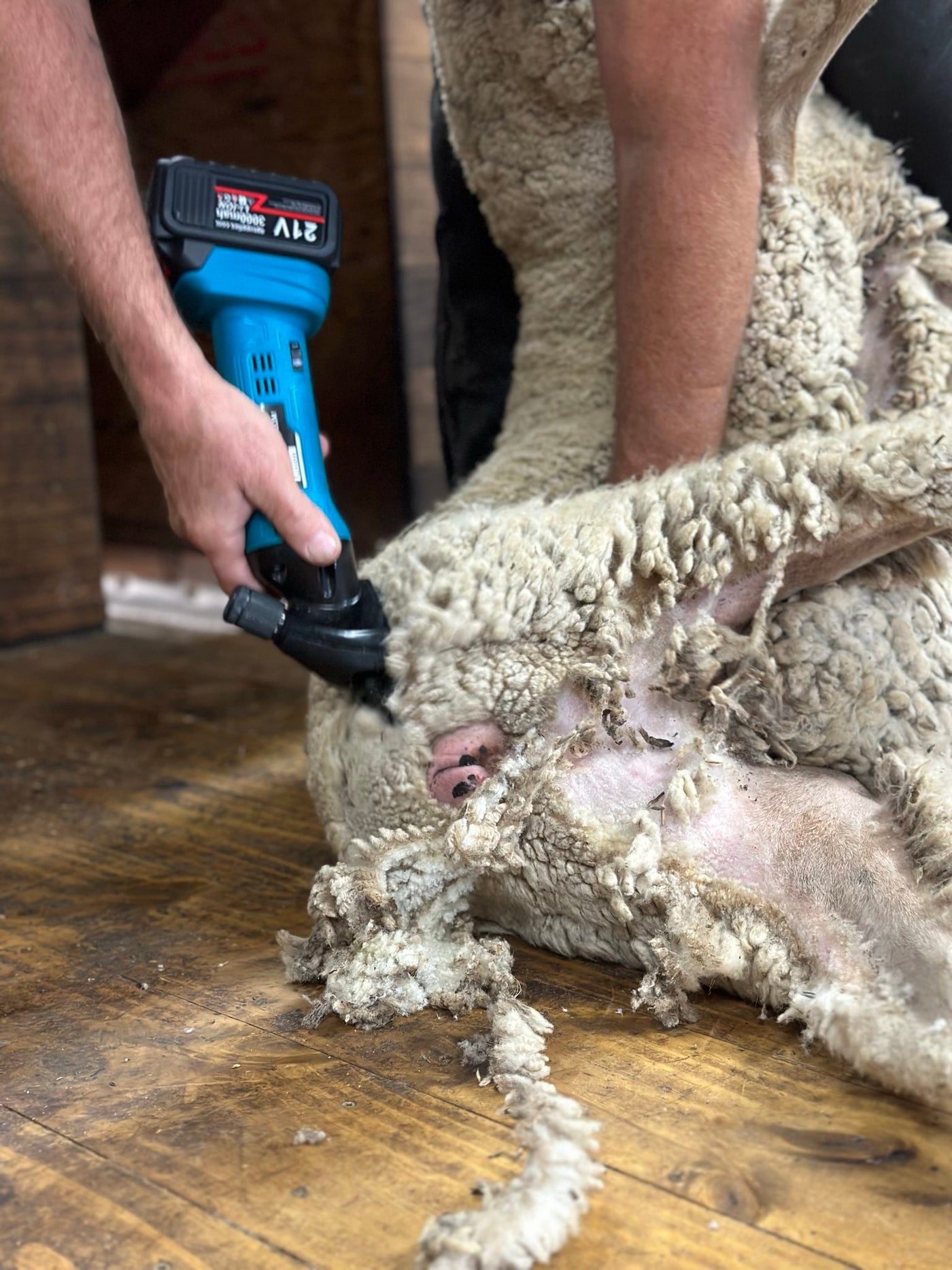 How to Crutch a Sheep: A Comprehensive Guide