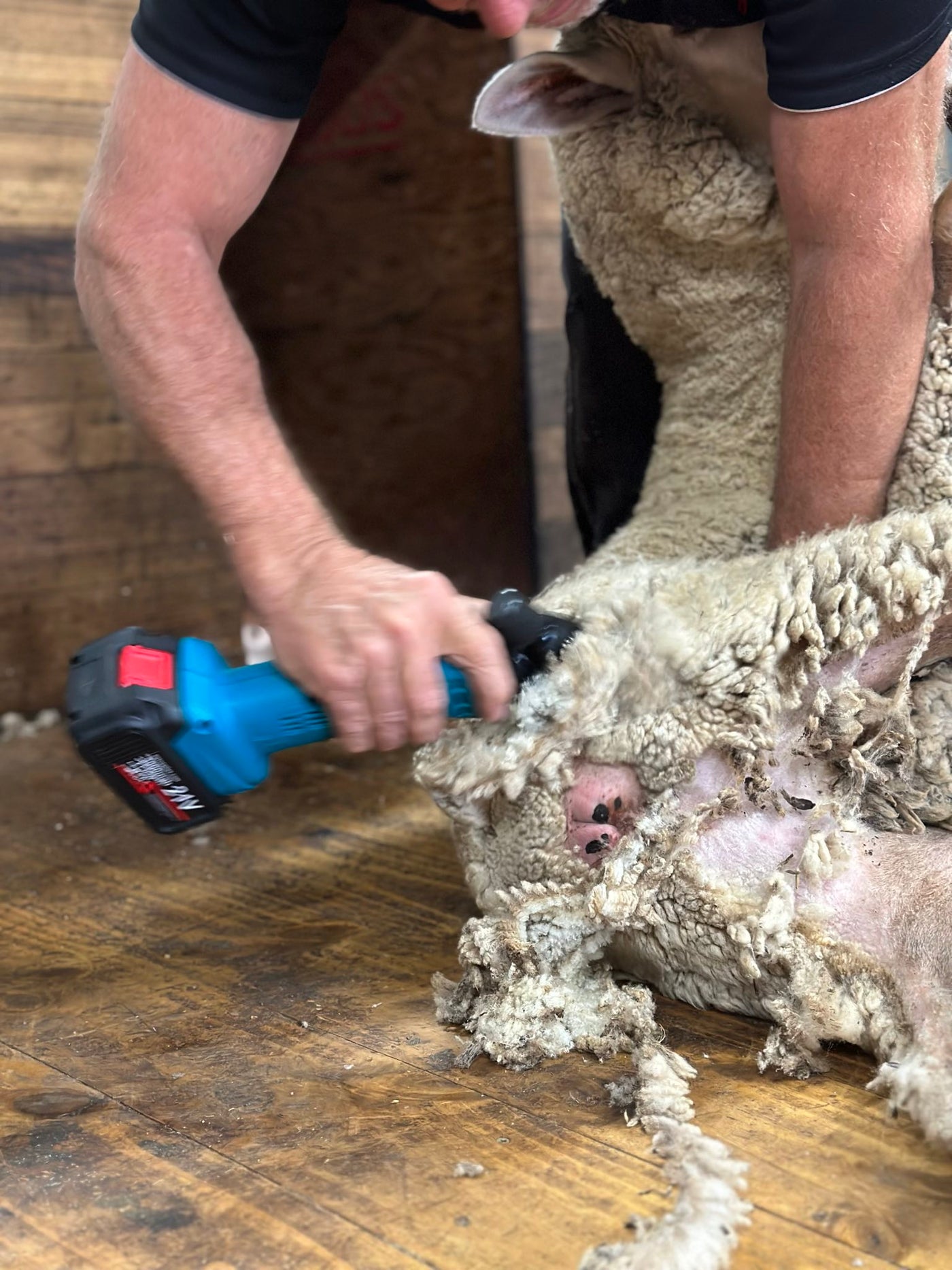 How to Crutch a Sheep: A Comprehensive Guide