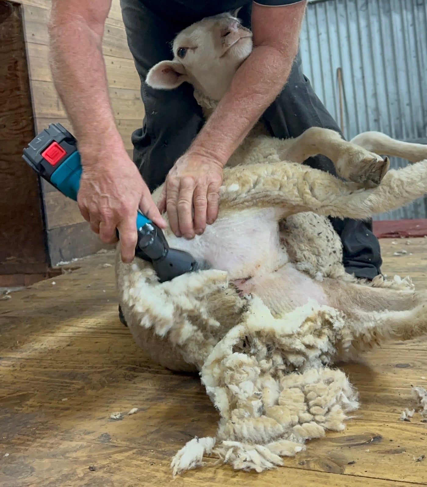 How to Crutch a Sheep: A Comprehensive Guide