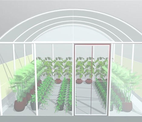 Polytunnel (4m wide x 4m length)