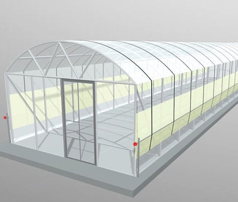 Politúnel (4m x 16m de longitud)