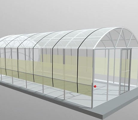 Polytunnel (4m de large x 8m de long)